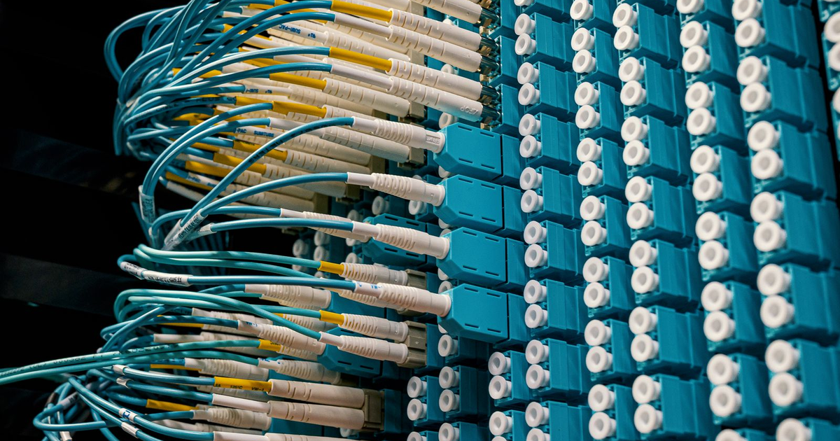 Blue fiber patch cables plugged into a server patch panel.